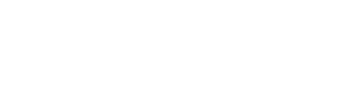 ROI DNA Logo